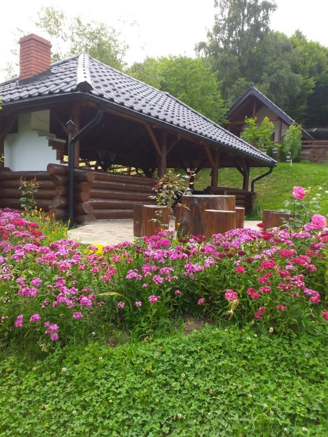Hotel Pensiunea Doina Bucovinei Mînăstirea Humorului Exterior foto