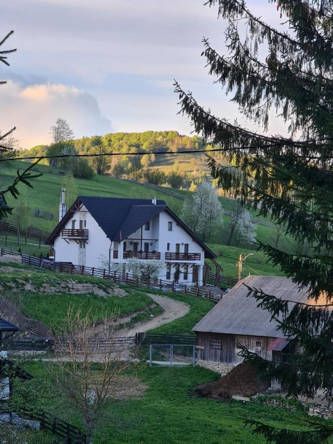 Hotel Pensiunea Doina Bucovinei Mînăstirea Humorului Exterior foto