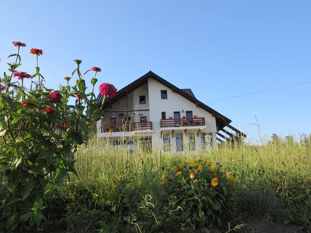 Hotel Pensiunea Doina Bucovinei Mînăstirea Humorului Exterior foto