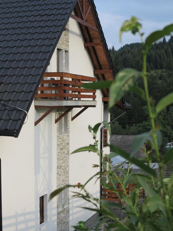 Hotel Pensiunea Doina Bucovinei Mînăstirea Humorului Exterior foto